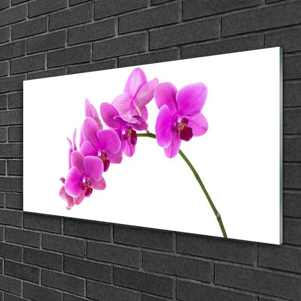 Tablou pe sticla Flori roz Floral
