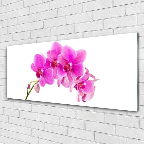 Tablou pe sticla Flori roz Floral