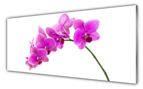 Tablou pe sticla Flori roz Floral