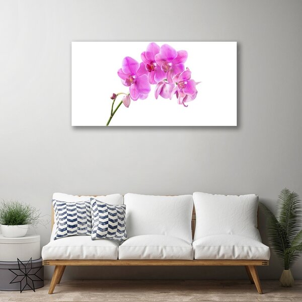 Tablou pe sticla Flori roz Floral