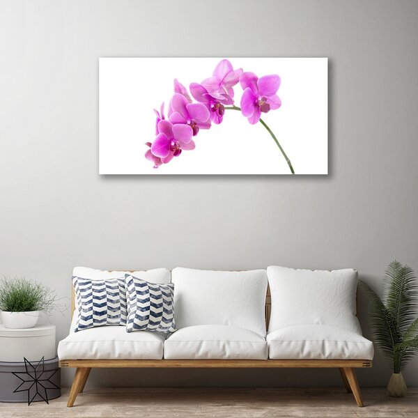 Tablou pe sticla Flori roz Floral