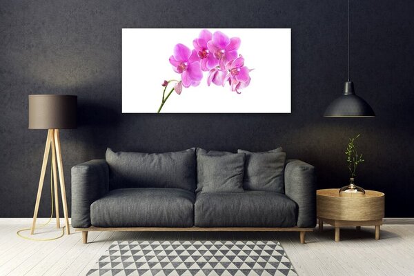 Tablou pe sticla Flori roz Floral