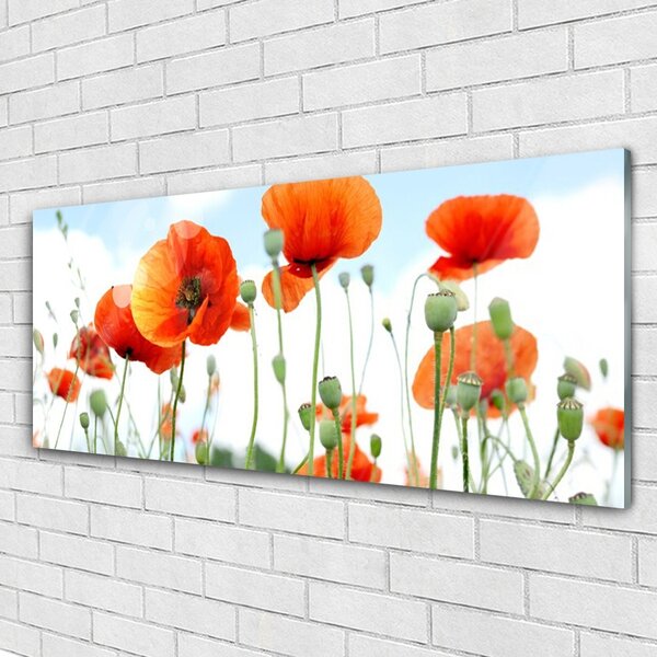 Tablou pe sticla Maci Floral Red