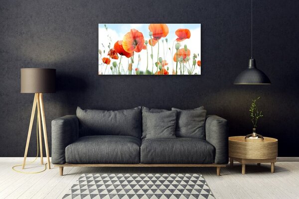 Tablou pe sticla Maci Floral Red