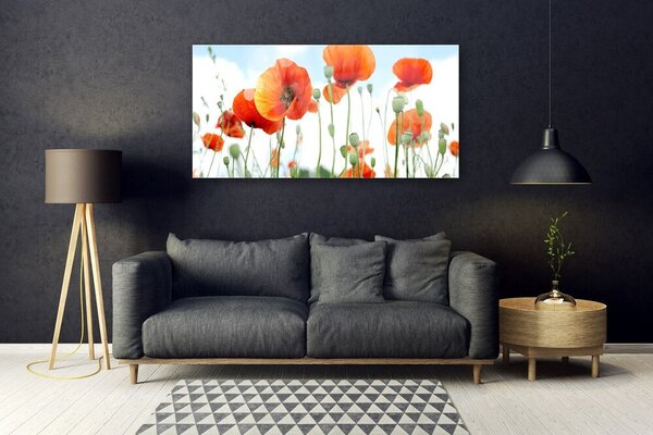 Tablou pe sticla Maci Floral Red