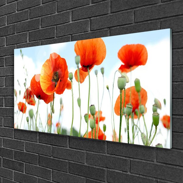 Tablou pe sticla Maci Floral Red
