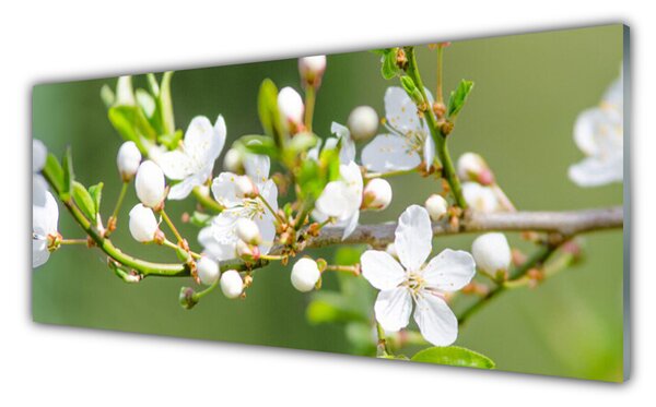 Tablou pe sticla Ramuri Flori Floral Verde Alb