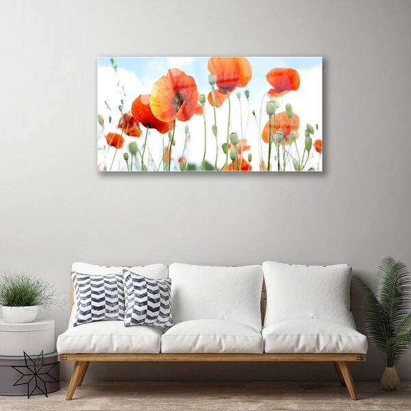 Tablou pe sticla Maci Floral Red