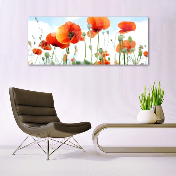 Tablou pe sticla Maci Floral Red