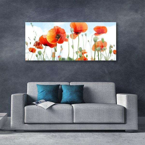 Tablou pe sticla Maci Floral Red