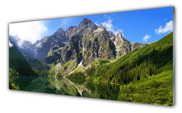 Tablou pe sticla Mountain Lake Natura Gri Verde