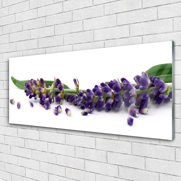 Tablou pe sticla Petale Floral Verde Violet