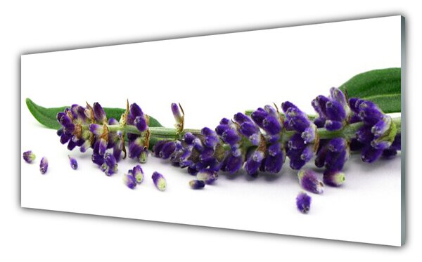Tablou pe sticla Petale Floral Verde Violet
