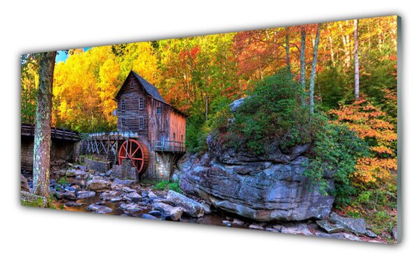 Tablou pe sticla Forest Stones Natura Gri Maro Verde Galben