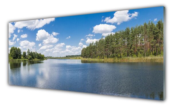 Tablou pe sticla Forest Lake Peisaj Verde Albastru