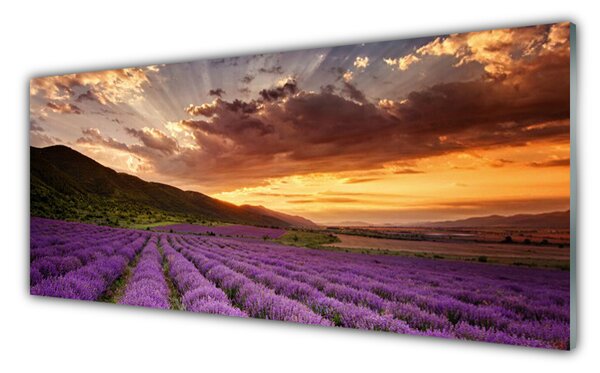 Panou sticla bucatarie Muntii Meadow Flori Peisaj Verde Roz