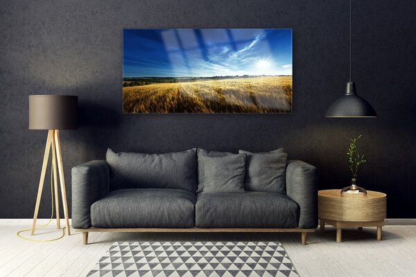 Tablou pe sticla Câmp Sky Natura Galben Albastru Alb