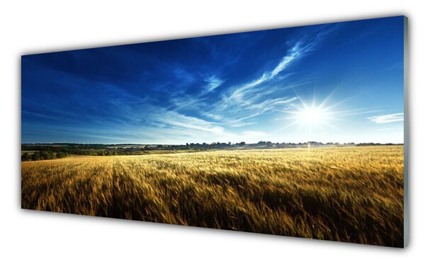 Tablou pe sticla Câmp Sky Natura Galben Albastru Alb