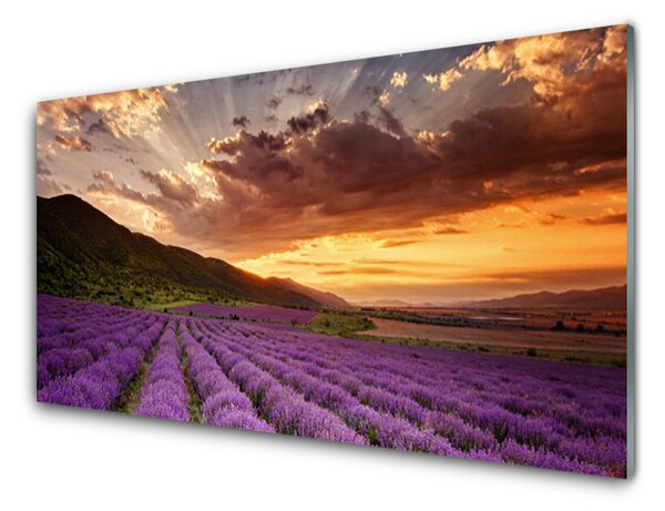 Panou sticla bucatarie Muntii Meadow Flori Peisaj Verde Roz