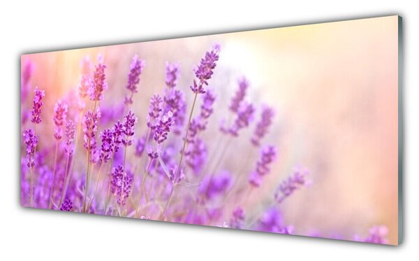 Tablou pe sticla Flori roz Floral