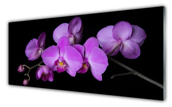 Tablou pe sticla Flori roz Floral
