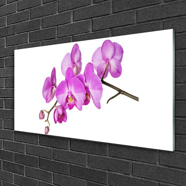 Tablou pe sticla Flori roz Floral