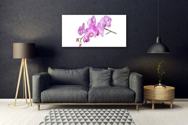 Tablou pe sticla Flori roz Floral