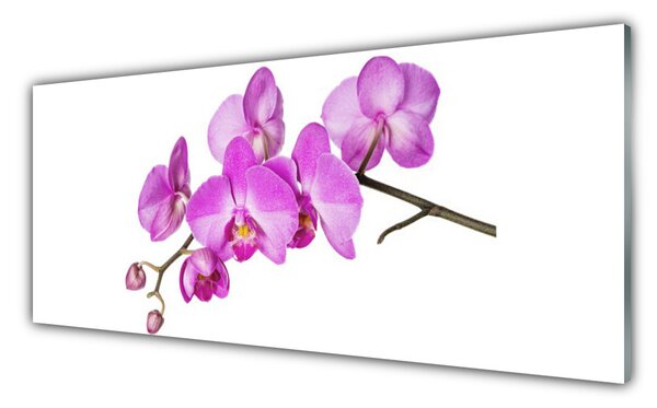 Panou sticla bucatarie Flori roz Floral