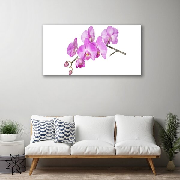 Tablou pe sticla Flori roz Floral