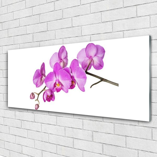 Tablou pe sticla Flori roz Floral
