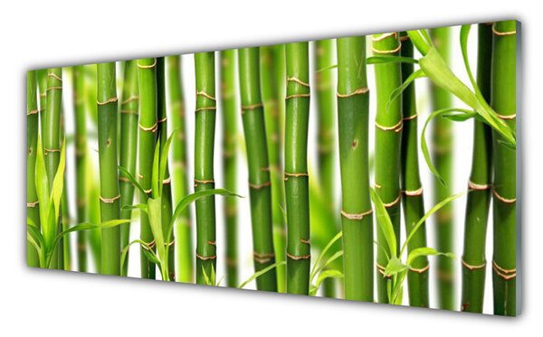Panou sticla bucatarie Bamboo Tulpini Floral Verde