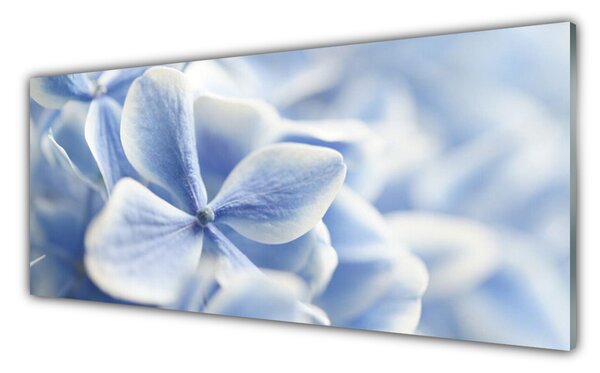 Panou sticla bucatarie Flori Floral violet