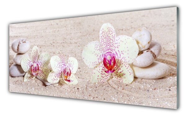 Tablou pe sticla Flori Pietre florale albe