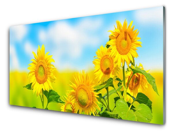 Panou sticla bucatarie Floarea soarelui Floral Galben