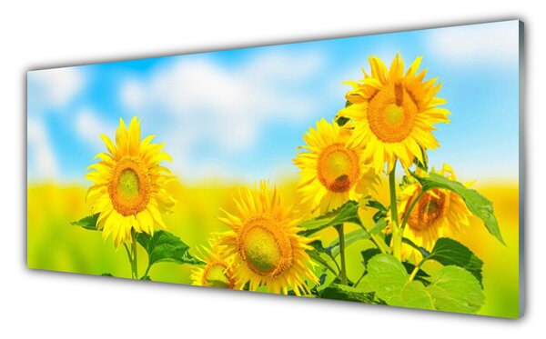 Panou sticla bucatarie Floarea soarelui Floral Galben