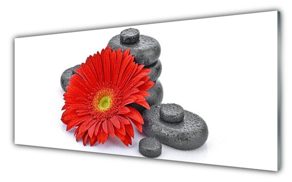 Panou sticla bucatarie Pietrele florale flori Roșu Gri