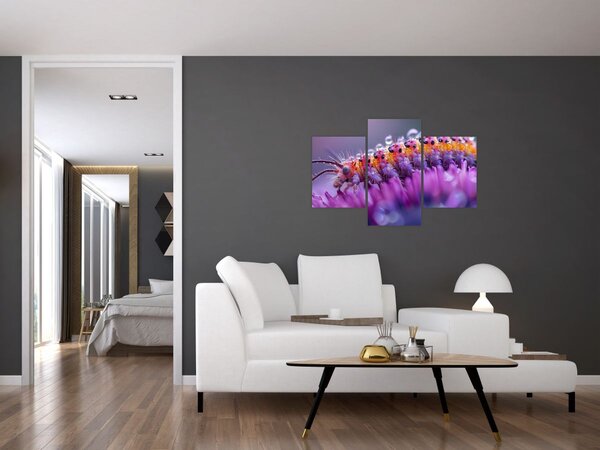 Tablou - Caterpillar (90x60 cm)