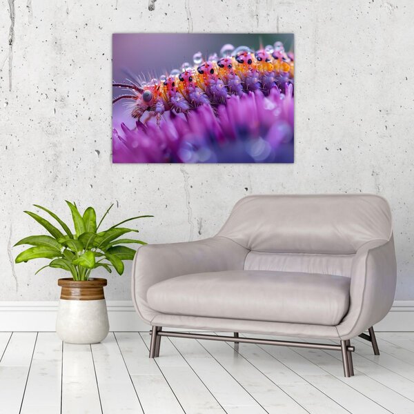 Tablou - Caterpillar (70x50 cm)