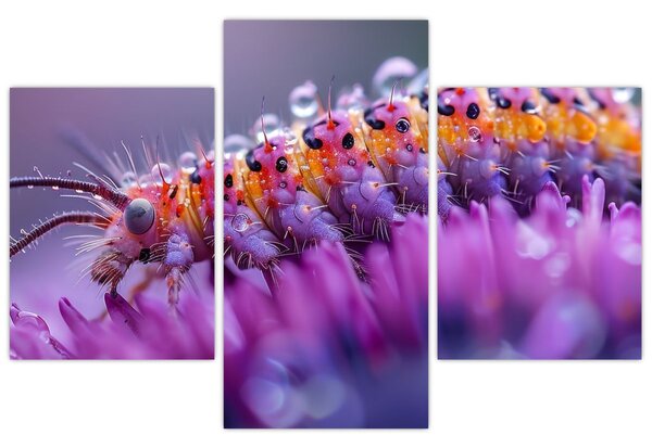 Tablou - Caterpillar (90x60 cm)