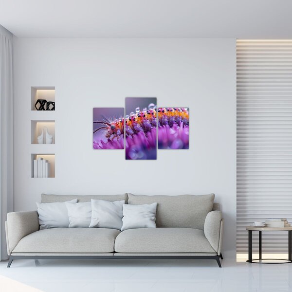 Tablou - Caterpillar (90x60 cm)