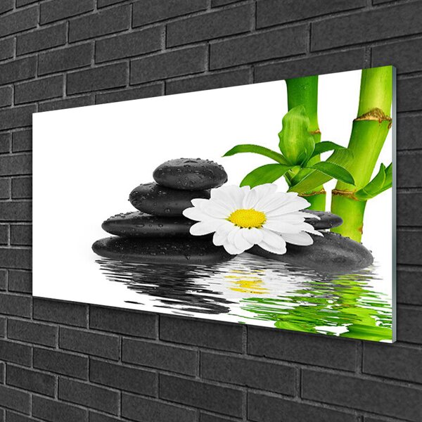 Tablouri acrilice Bamboo Tub flori Stones Floral Verde Alb Negru