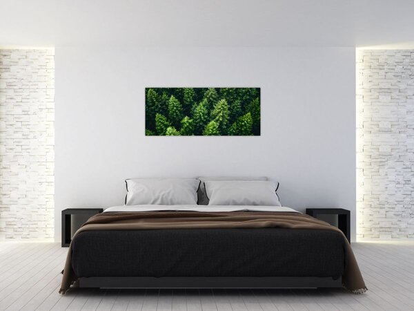Tablou - Pădure (120x50 cm)