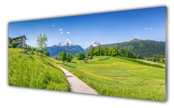 Tablou pe sticla Meadow Potecă Natura Verde Maro