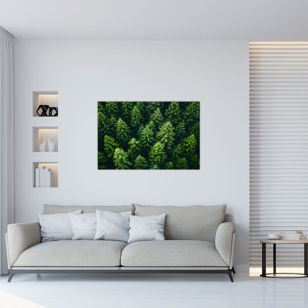 Tablou - Pădure (90x60 cm)