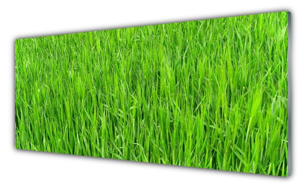 Tablou pe sticla Iarbă Natura verde