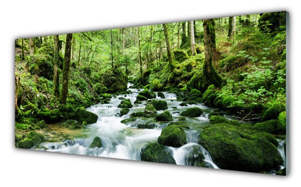 Tablou pe sticla Lake Forest Stones Natura Brun Verde Alb