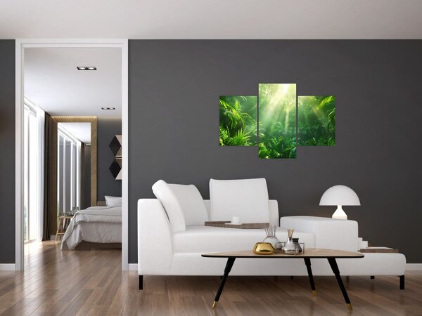 Tablou - Pădurea tropicală (90x60 cm)