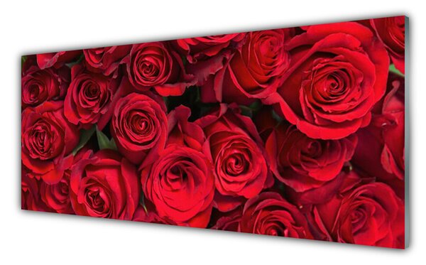 Panou sticla bucatarie Trandafiri Floral Red