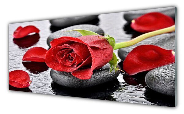 Tablou pe sticla Rose pietre Floral Roșu Gri