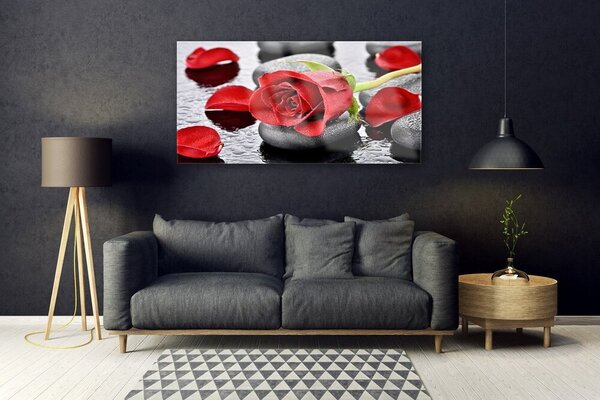 Tablou pe sticla Rose pietre Floral Roșu Gri